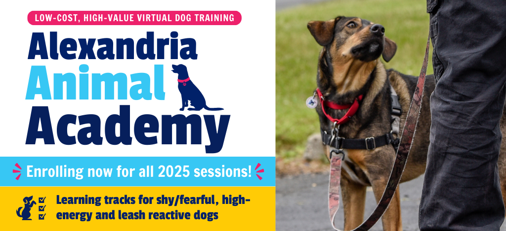 Alexandria Animal Academy 2025