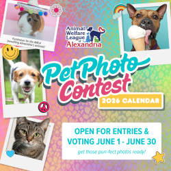 2026 Calendar Pet Photo Contest
