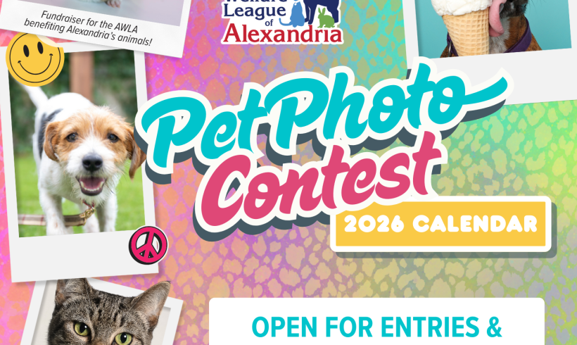 2026 Calendar Pet Photo Contest