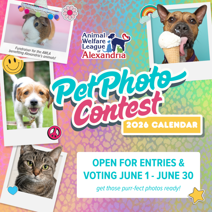 2026 Calendar Pet Photo Contest
