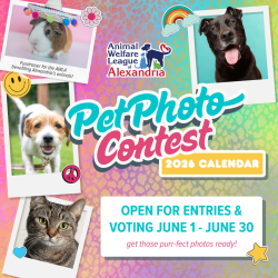 2026 Calendar Pet Photo Contest