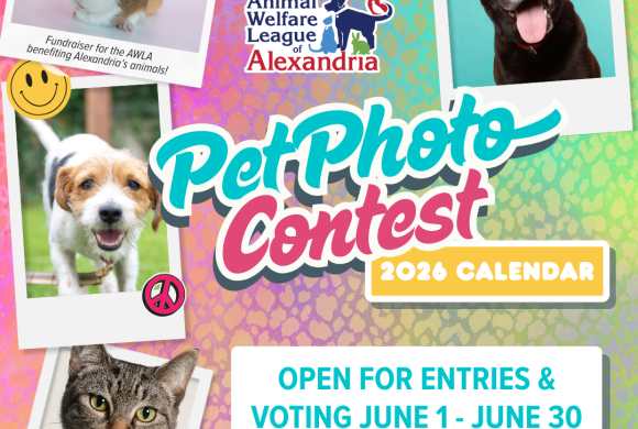 2026 Calendar Pet Photo Contest 2026 Calendar Pet Photo Contest