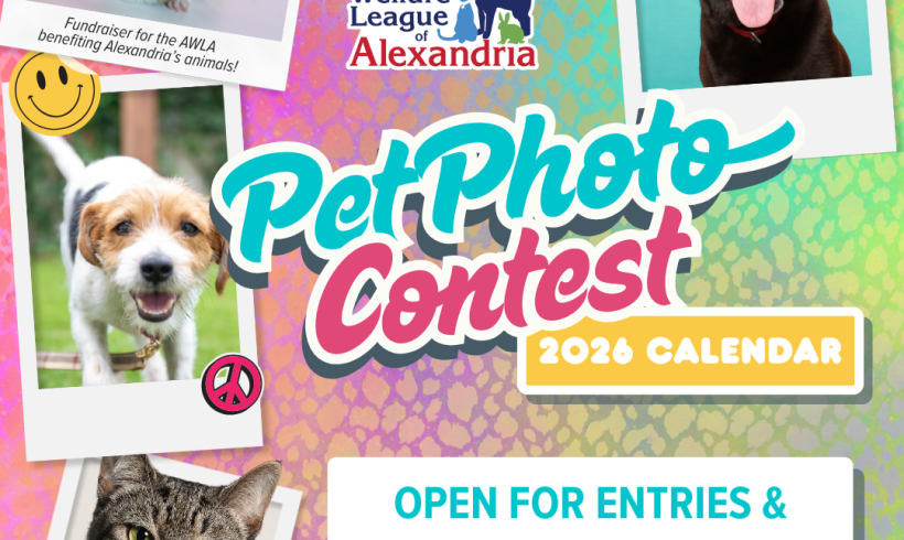 2026 Calendar Pet Photo Contest