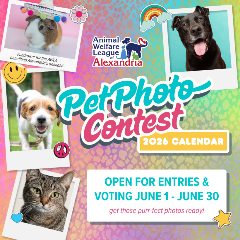 2026 Calendar Pet Photo Contest