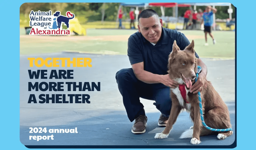 AWLA 2024 Annual Report: Together, We Are More Than a Shelter