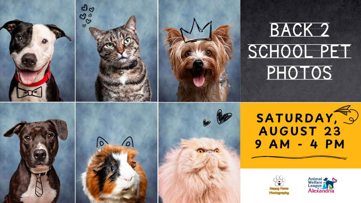 Back 2 School Pet Photos, August 23, 2025 @ AWLA