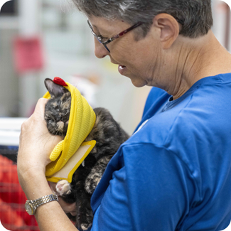 AWLA with cat