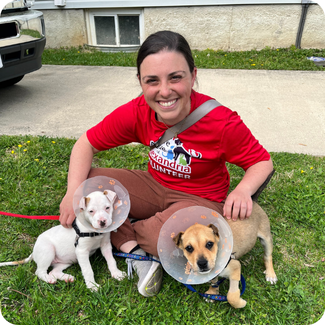 AWLA with dogs