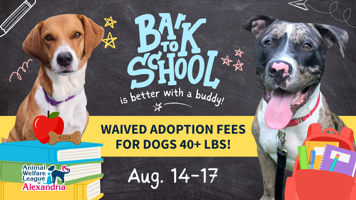 Bark to School at AWLA, August 14-17, adoptions fees waived for dogs 40+ lbs.