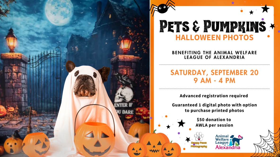 Pets & Pumpkins Halloween Photos, Sept. 20, 2025 @ 9am to 4pm, presented by AWLA