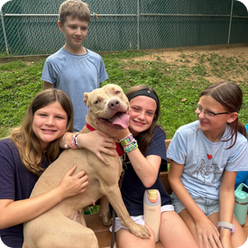 Summer camp 2025 at AWLA