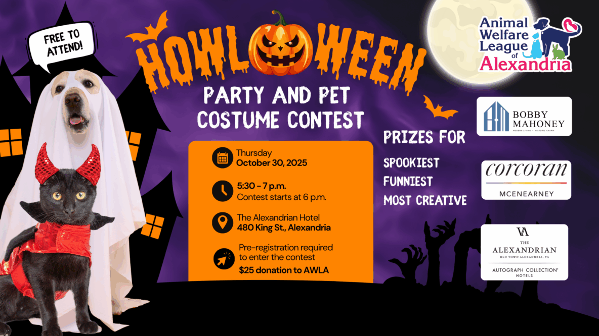 Halloween party and pet costume contest, October 30, 2025