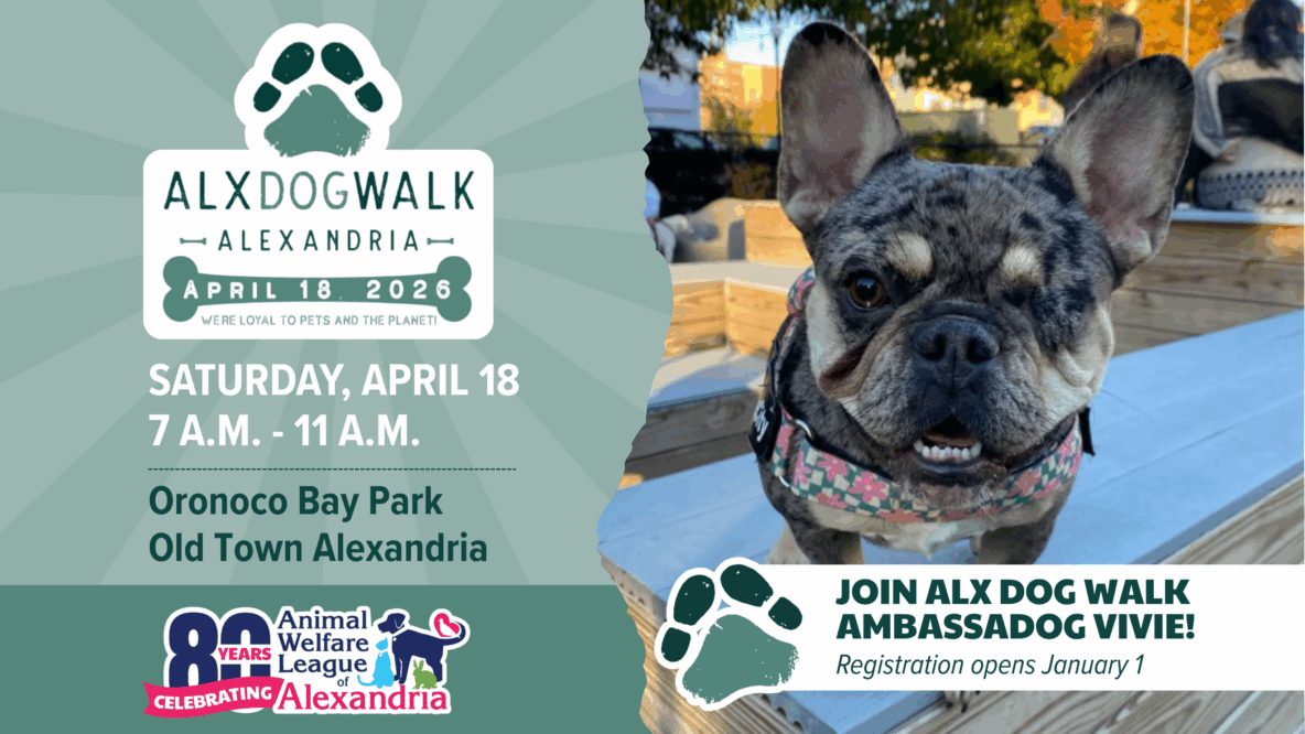 ALX Dog Walk, Alexandria, April 18, 2026
