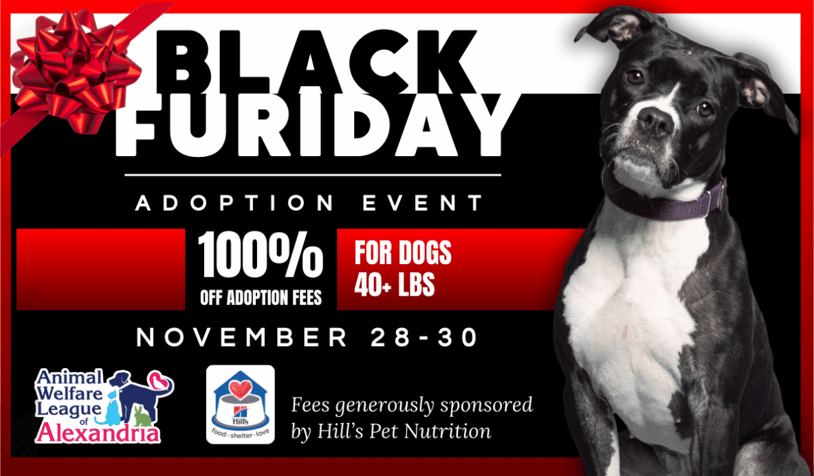Black Furiday, Adoption Event, November 28-30, waived fees for all dogs 40+ pounds