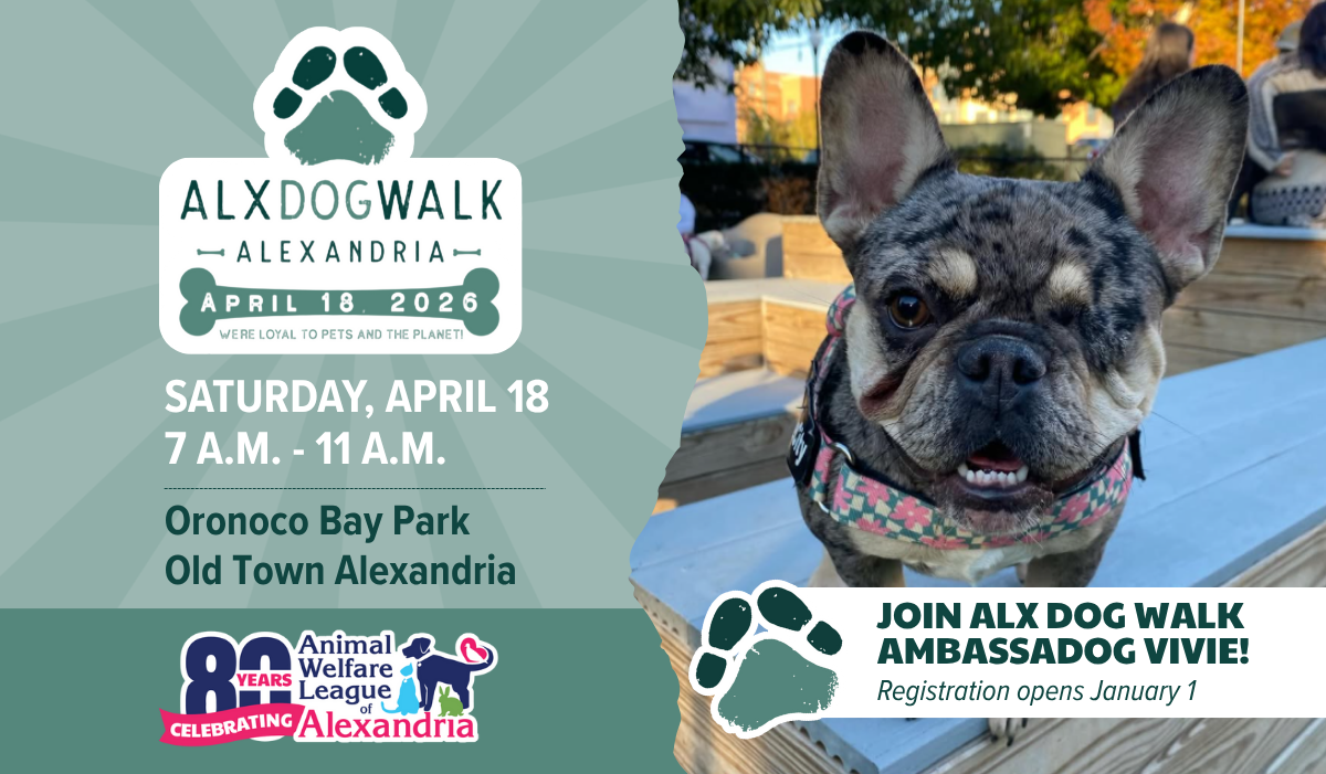 ALX Dog Walk, Alexandria, April 18, 2026