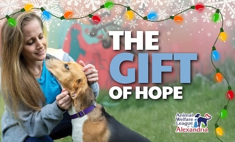 The Gift of Hope, at AWLA