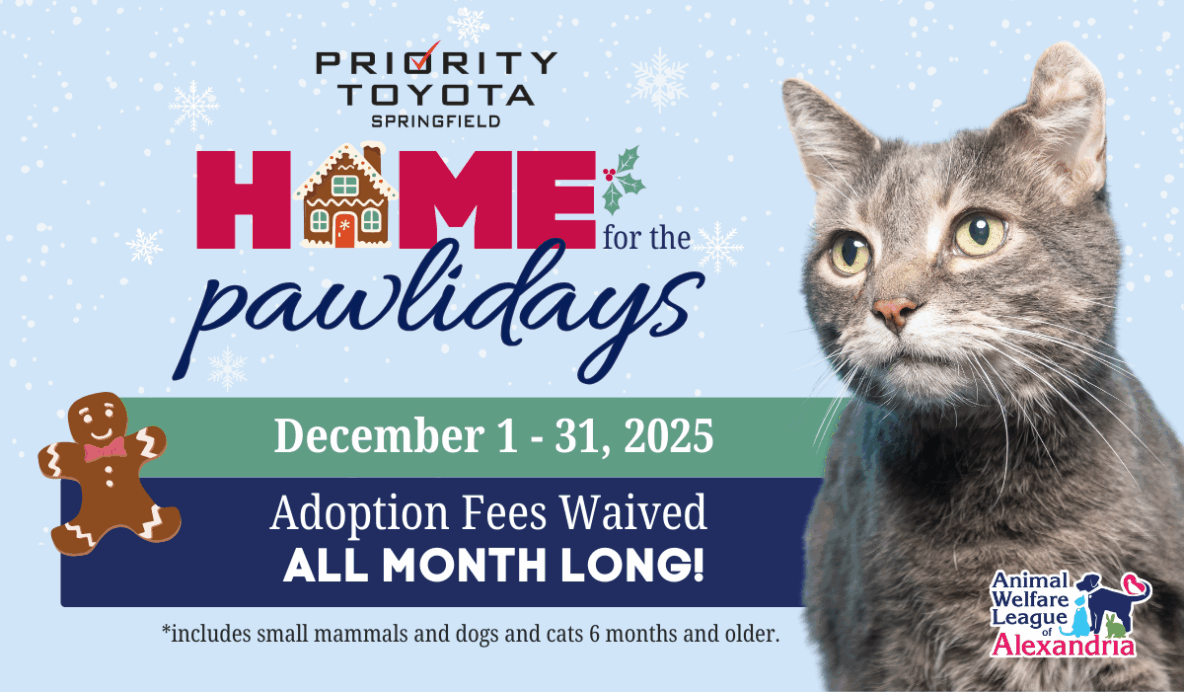 Home for the Pawlidays, Adopt fees waived all month at AWLA, December 1 - 31, 2025