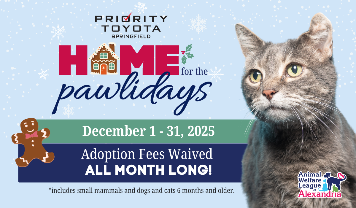 Home for the Pawlidays, Adopt fees waived all month at AWLA, December 1 - 31, 2025
