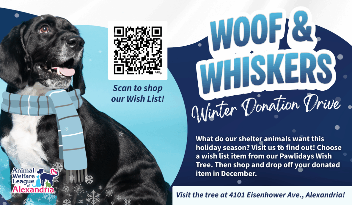 Woof and Whiskers, Winter Donation Drive, December 2025